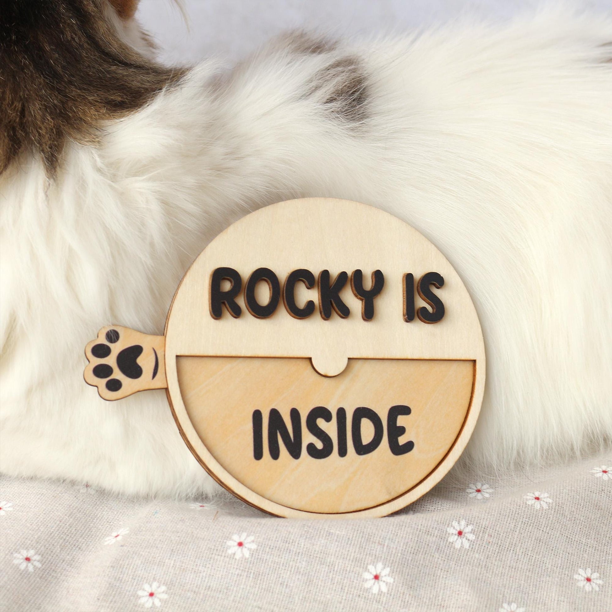 Personalized Cat Magnet: Wood Pet Reminder Sign